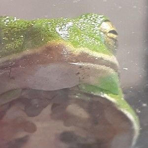 Meet your Posher, Shawnte